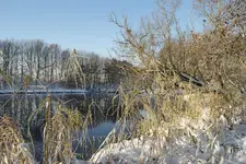 Winterwelt_3_DSC05578.webp