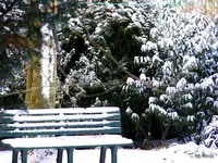 _Bank im Schnee.webp