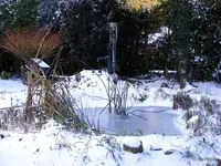 _Unser Teich.webp