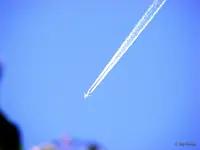 _Flug in die Sonne.webp