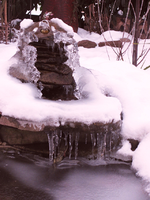 teich 09.12.webp