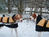 im Schnee_600.webp