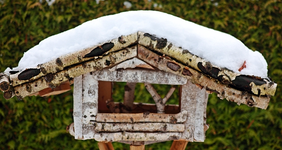 mit Schneehaube_640.webp