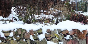 Hangbeet unter Schnee versteckt_640.webp