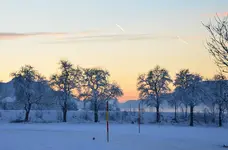 DSC_0366.webp