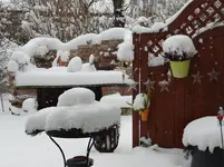 Winter.webp