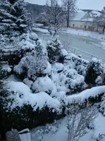 DSC02119.webp