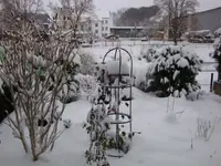 DSC02122.webp