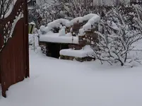 im Garten.webp