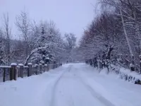 DSC02125.webp