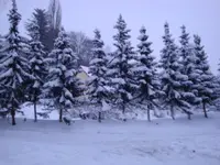 DSC02132.webp