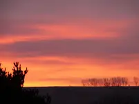 P1000733.webp