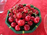 IMG_5355v.webp