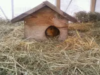 Dez12_Ernie.webp