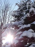 Winter1.webp