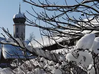 Winter2.webp