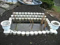 BILD2316.webp