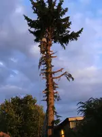 Kopie von BILD5289.webp