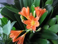 014.webp
