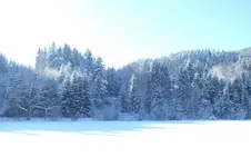 2012_1212Herbst0020.webp