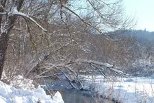 2012_1212Herbst0030.webp