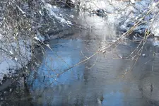 2012_1212Herbst0038.webp