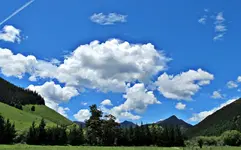 Copy of IMG_4564v.webp