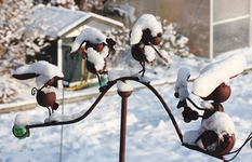 Deko Hangbeet im Schnee_600.webp