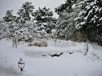 P1090231.webp