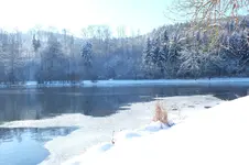 2012_1212Herbst0048.webp
