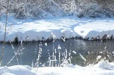 2012_1212Herbst0058.webp