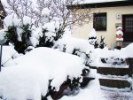 Untergarten mit Schneedecke.JPG