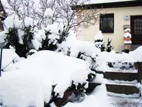 Untergarten mit Schneedecke.webp