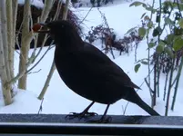 DSC02088.webp