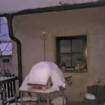 167430_497700236917789_232374511_n.webp
