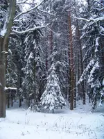 neu 008.webp
