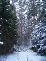 neu 033.webp