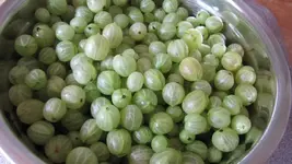Stachelbeeren v.webp