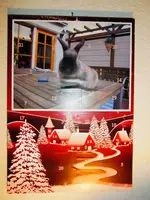 001.webp