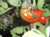 DSCF1437.webp