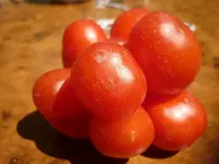 Reisetomate.webp