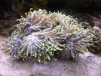 P1060011.webp