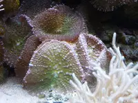 P1060020.webp
