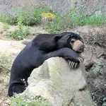 besinnlich.... v.webp