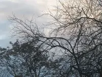 010.webp