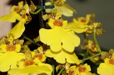 DSC00072.webp