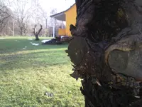 Versteckt.webp