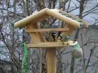 neues Vogelhaus1.webp