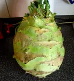CIMG4729.webp CIMG4729.webp