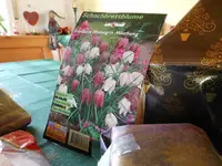k-DSCN1000.webp